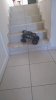 received_1722164951346645.jpeg