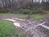 ob_57ad95_img-0517.JPG
