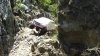 DSC00435.JPG