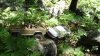 DSC00497.JPG
