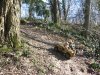 La cours Roland 16.jpg