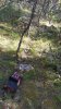 20190804_164643-567x1008.jpg