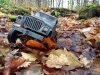 thumbnail_IMG_20191202_144623659.jpg
