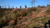 WP_20200111_003.jpg