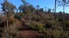 WP_20200111_005.jpg