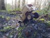 thumbnail_IMG_20200119_115537879.jpg