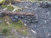 thumbnail_IMG_20200327_175232934.jpg