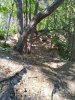 IMG_20200519_155729.jpg