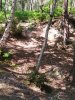 IMG_20200519_155737.jpg