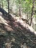 IMG_20200519_155847.jpg