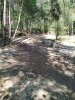 IMG_20200519_160102.jpg
