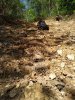 IMG_20200519_161126.jpg