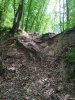 IMG_20200521_125040.jpg