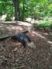 IMG_20200521_125049.jpg