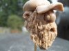 thumbnail_SDC14179.jpg