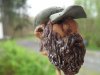 thumbnail_SDC14187.jpg