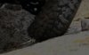3890DD82-11D0-4DB4-8DC2-B70968F91FB0.jpeg
