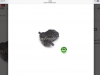 20F855C6-CBC6-4DCD-9619-35DECC8ADCFF.png