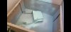 Screenshot_20210321-193954_Gallery.jpg