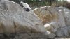 DSC00778.JPG