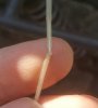 20160925_125517.jpg