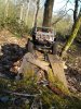 thumbnail_IMG_20210404_181718399.jpg
