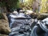 IMG_20210409_160601.jpg