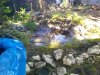 IMG_20200820_103337.jpg