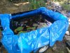 IMG_20200820_103333.jpg