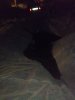 IMG_20200821_000016.jpg