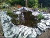 IMG_20200821_190641.jpg