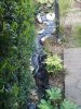 IMG_20210410_112225.jpg