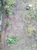 IMG_20210411_163426.jpg
