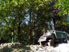 IMG_20211230_133141.jpg