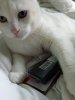 IMG_20220303_092818.jpg