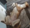 IMG_20200801_120928.jpg