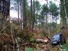 IMG_20220407_165210.jpg