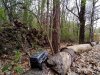 IMG_20220407_162608.jpg