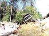 IMG_20220506_142236.jpg