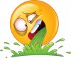 upload_2022-5-22_9-37-16.jpeg