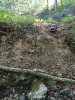 IMG_20220921_144755.jpg