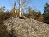 PXL_20221112_143903710.MP.jpg