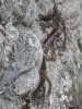 PXL_20221126_140552559.jpg