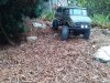 thumbnail_20230203_160817.jpg