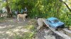IMG_20230514_160013.jpg