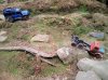 IMG_20230729_162939.jpg