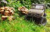 20231102_131019.jpg