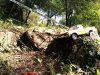 IMG_20240623_101609.jpg