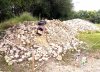 IMG_20240623_162108.jpg