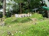 IMG_20241005_180826.jpg